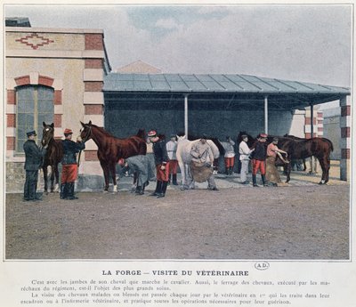 Armeijan eläinlääkärin vierailu kasarmiin, 1897 (värilitho, värillisen kuvan jälkeen) tekijältä French School