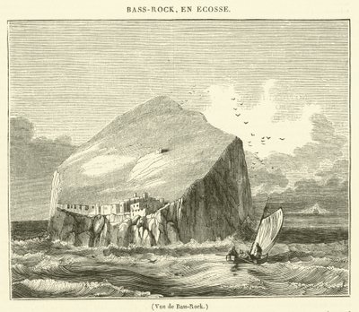 Basso-Rock View (kaiverrus) tekijältä French School