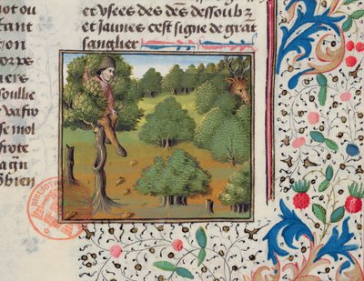 Odotetaan puuhun piiloutuvaa peuroa Livre de la Chassesta, Gaston Phebus tekijältä French School