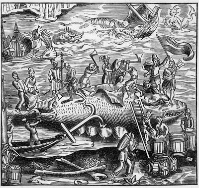 Valaiden kalastus Atlantin valtameren Ranskan rannikolla keskiajalla. Kaiverrus kirjassa "La Marine et les colonies: kauppa" tekijältä French School