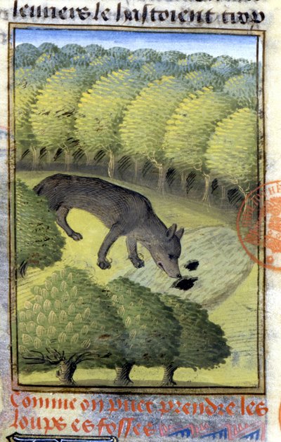 Susi - "" Metsästyskirjassa Gaston Phoebus, Foixin kreivi, Lord of Béarn"" tekijältä French School