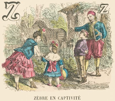 Z: Seepra vankeudessa tekijältä French School