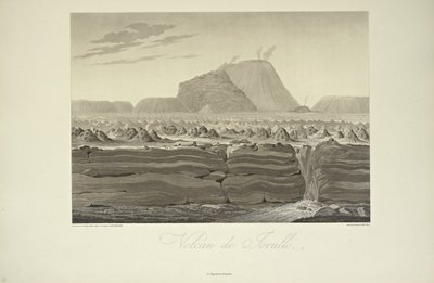Kukat tekijältä Friedrich Alexander Baron von (after) Humboldt
