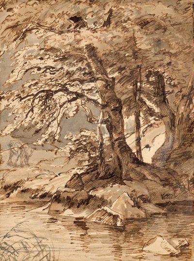 puun tutkimus tekijältä Friedrich August Mathias Gauermann