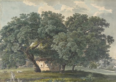 Italialainen maisema puilla recto, 1815-21. tekijältä Friedrich Salathé