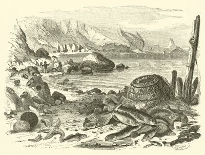 Kalastus (kaiverrus) tekijältä Friedrich Specht