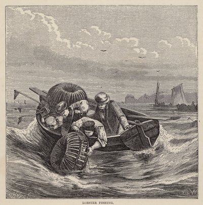 Lobster Fishing (värillinen kaiverrus) tekijältä Friedrich Specht