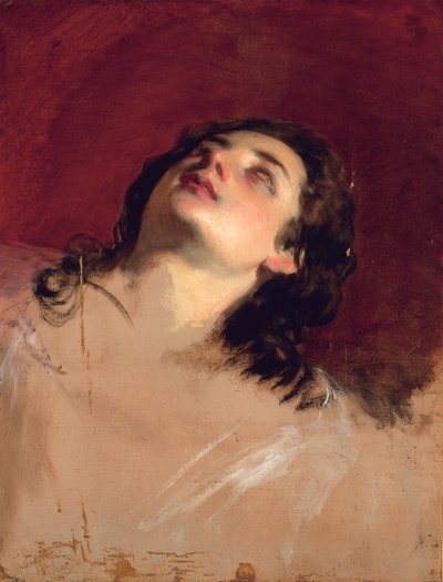 Tutkimus naisen päästä tekijältä Friedrich von Amerling
