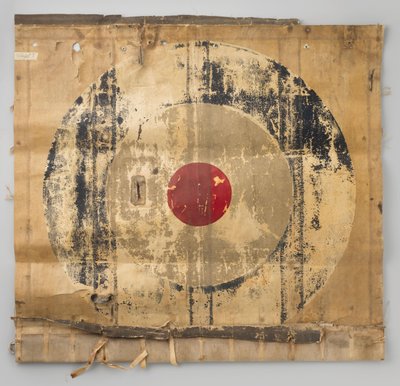 Fragment pellavabannerilentokone F.K. 23 tekijältä Frits Koolhoven