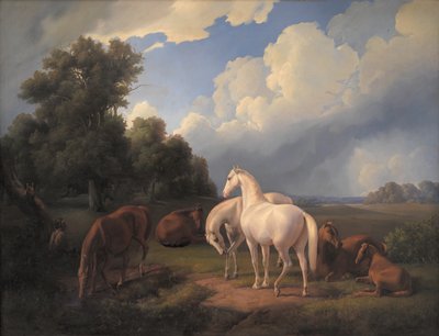 Lucia, Whimsey, Bellona, Hertha, Olga tekijältä Fritz Thomsen