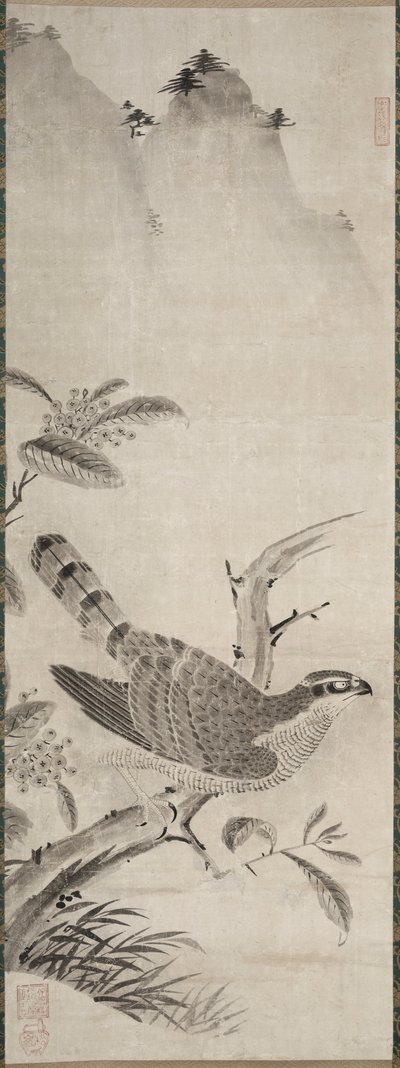 Haukka tekijältä Fujiwara Masayoshi