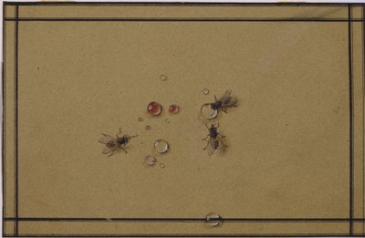 Kärpäset vesipisaroissa tekijältä Fyodor Petrovich Tolstoy