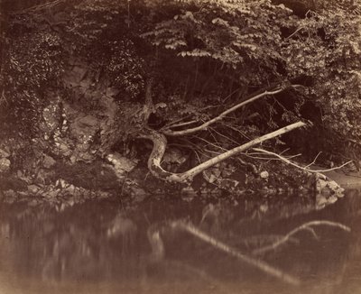 River Bank in the Vale of Neath, n. 1855. tekijältä G. B. Gething