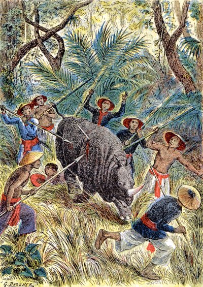 Sarvikuonojen metsästys, Ranskan Indokina, n. 1900 (kuva) tekijältä G. Dascher