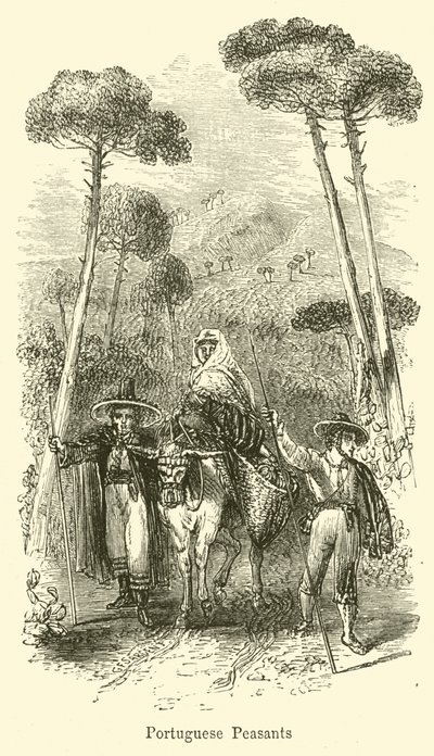 Portugalin talonpojat tekijältä G. F. Sargent