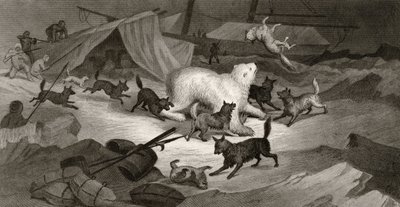 Bear Hunt, kaiverrettu J.C. McRea, "Arctic Explorations in the Years 1853, 54, 55", osa I, tohtori Elisha Kent Kane (1820-57) julkaisi Philadelphia, 1856 tekijältä G. White