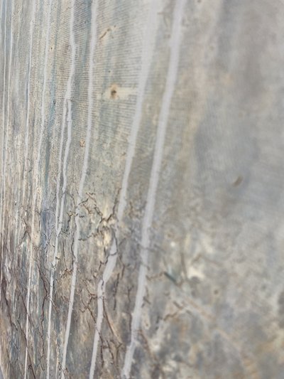  tekijältä Gabriela Aleksandra Szuba