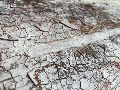  tekijältä Gabriela Aleksandra Szuba