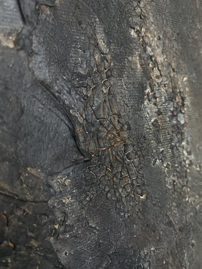  tekijältä Gabriela Aleksandra Szuba