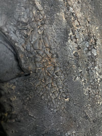  tekijältä Gabriela Aleksandra Szuba