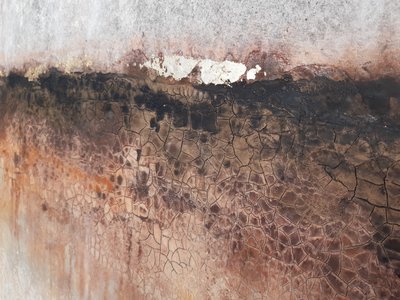  tekijältä Gabriela Aleksandra Szuba