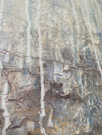  tekijältä Gabriela Aleksandra Szuba