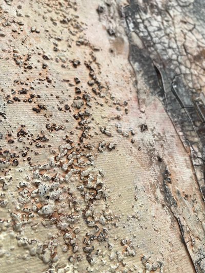  tekijältä Gabriela Aleksandra Szuba