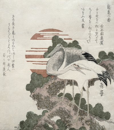 Nosturi (Tsuru) sarjasta 2, nosturit ja kilpikonnat, 1818-30 (puulohkokaiverrus) tekijältä Gakutei Harunobu