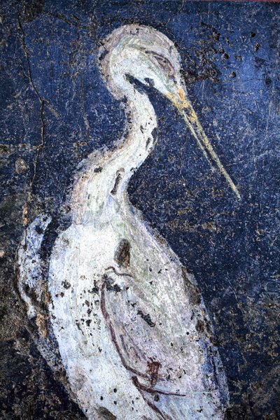 Roomalainen seinämaalaus tekijältä Gallo-Roman