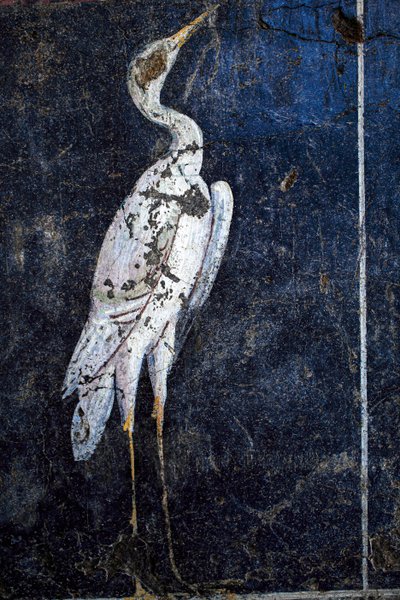 Roomalainen seinämaalaus tekijältä Gallo-Roman