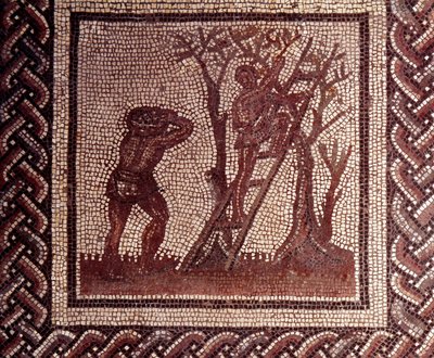 Gallo Roman Art: mosaiikkipäällyste, joka edustaa maalaismaista kalenteria. Oliivinpoimintakohtaus. 2. vuosisadan loppu, 3. vuosisadan alku JC:n jälkeen. Saint-Romain-en-Galista (Rhône). Saint Germain en Laye, kansallinen arkeologinen museo tekijältä Gallo Roman