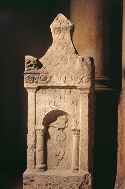 Hautajaisten tähdet tekijältä Gallo Roman Gallo Roman