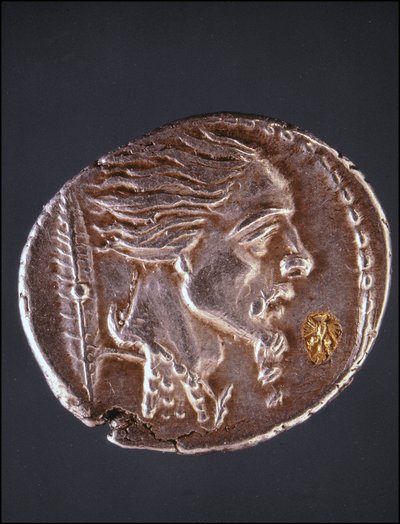Olettaen Vercingetorixin profiili Gauloisen kappaleessa. Mitalikokoelman museo. Milano tekijältä Gaulish Gaulish
