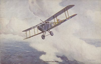 Sopwith Dolphin -hävittäjä (väri litho) tekijältä Geoffrey (after) Watson