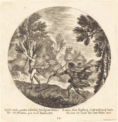 Daphne es torna a un llorer tekijältä Georg Andreas Wolfgang the Elder