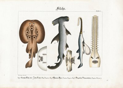  tekijältä Georg Bretzing