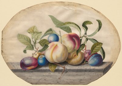 Hedelmä-asetelma: Persikoita ja luomuja marmorilaatalla, 1742. tekijältä Georg Dionysius Ehret