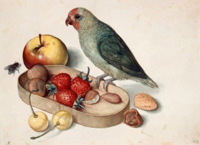 Asetelma kääpiöpapukaijan kanssa tekijältä Georg Flegel