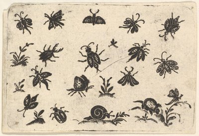 Pienet hyönteis- ja kasviaiheet, 1596. tekijältä Georg Herman