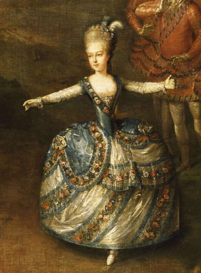 Fête järjestettiin juhlimaan keisari Joseph II:n häitä Baijerin prinsessa Marie-Josèphen kanssa tekijältä Johann Georg Weikert