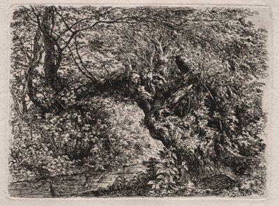 Vanha paju purossa, 1794. tekijältä Georg von Dillis