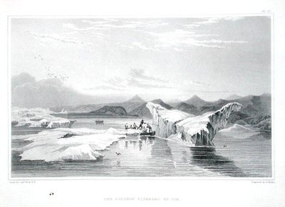 Jään puristama delfiini, Sir John Franklinin (1786-1847) Tarina matkasta Napameren rannoille vuosina 1819-22, kaiverrettu Edward Finden (1791-1857), julkaistu 1823-28 (väri) kaiverrus) tekijältä George (after) Back