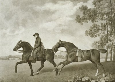 Two Hacks, kaiverrus George Townley Stubbs (bap.1748-c.1815) (litho) tekijältä George (after) Stubbs