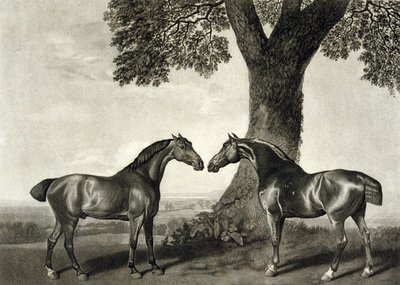 Kaksi metsästäjää, kaiverrus G.T. Stubbs (bap.1748-c.1815) (litho) (katso myös 266802) tekijältä George (after) Stubbs
