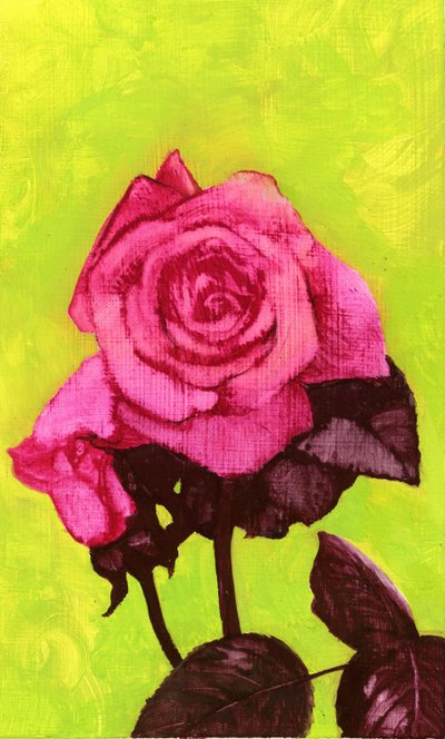 Bright Rose, 1980 (guassi gessoed kovalevyllä) tekijältä George Adamson