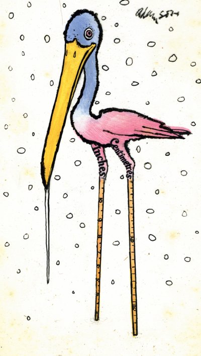 Haikara kalibroiduilla varreilla, 1970-luku (inidan-muste läpinäkyvyydellä guassin päällä kortilla) tekijältä George Adamson