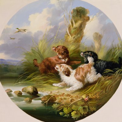 Three Spaniels Flushing Mallard (öljy kankaalle) tekijältä George Armfield