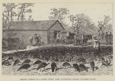 Kalkkunoiden ruokinta suurella kalkkunatilalla, Washington Hollow, Dutchess County tekijältä George Augustus Sala