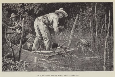 Snapping Turtle Farmilla, lähellä Annapolista tekijältä George Augustus Sala