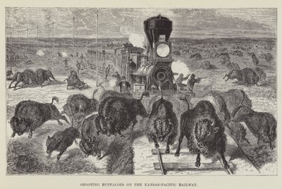 Buffaloes ammunta Kansas-Pacific Railwaylla tekijältä George Augustus Sala